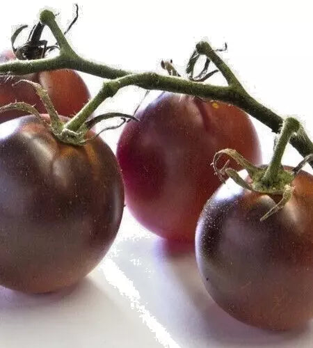 50 Organic Black Plum Tomato Seeds - Virginia Grown, Heirloom Variety, Non-GMO, High Yield, Disease Resistant