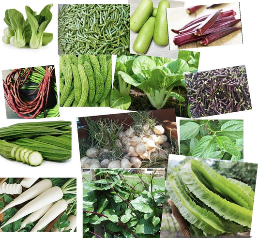 20 Packets Asian Vegetable Seeds for Planting - Variety Mix, Heirloom, Non-GMO, Organic