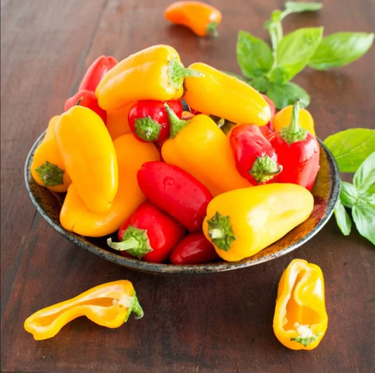 Mini Bell Pepper Seeds - Mixed Colors, Non-GMO, Organic Garden Seeds - Capsicum annuum