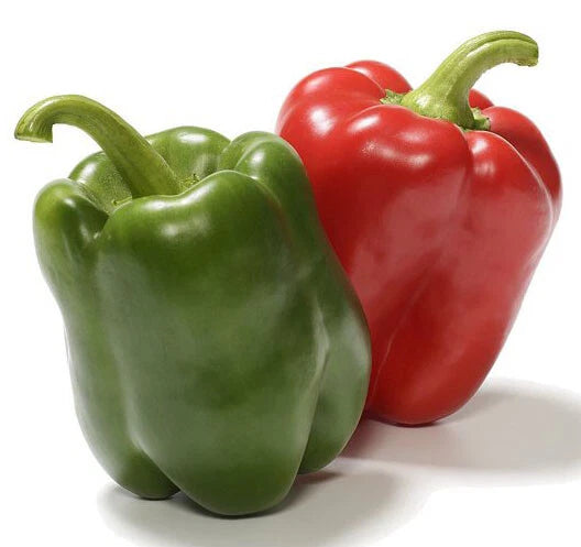 California Wonder Bell Pepper Seeds - 50+ Heirloom Non-GMO - Fresh USA Variety - Capsicum annuum