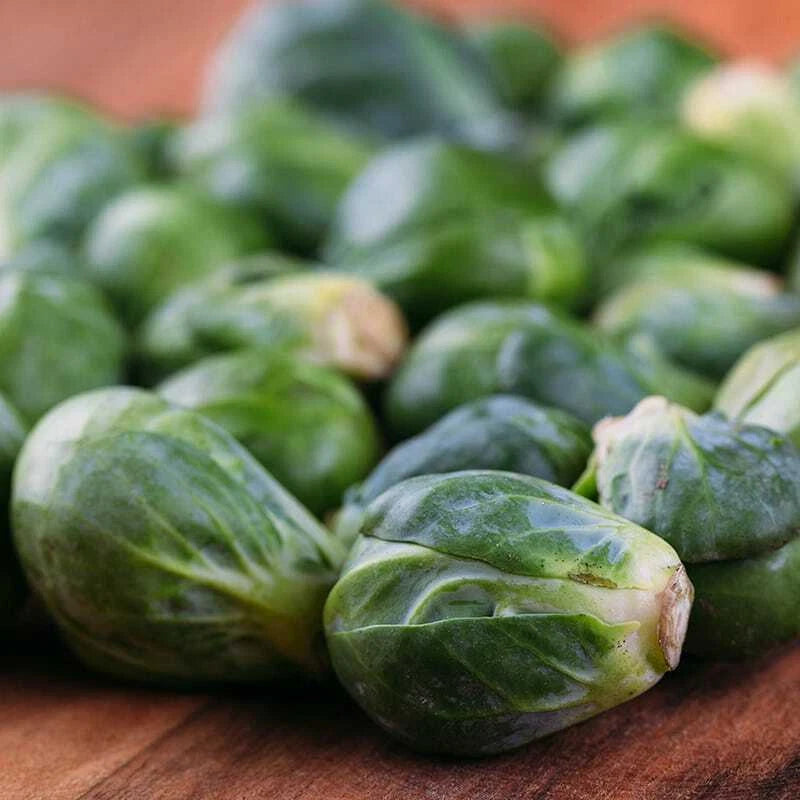 Brussels Sprouts Seeds - Catskill Variety, NON-GMO, Packet Sizes - Brassica oleracea