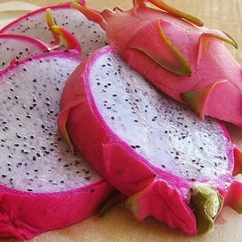 50+ White Dragon Fruit Seeds - Pitaya Hylocereus Undatus Cactus - Organic Seed Pack for Home Gardening