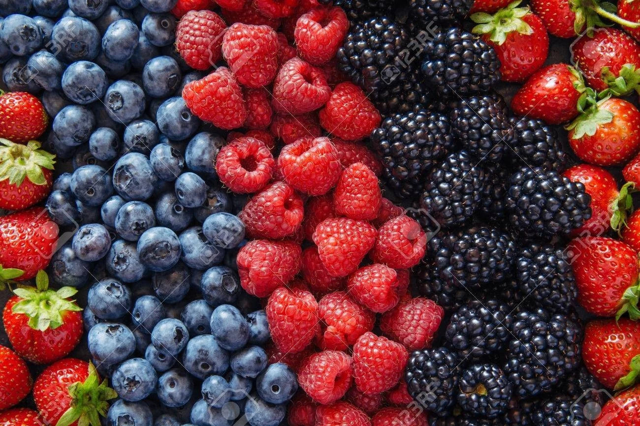 Berry Seed Set - Strawberry, Blueberry, Blackberry, Raspberry - Gift Package - Perfect for Home Gardening