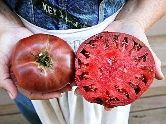 Cherokee Purple Tomato Seeds - 30+ Heirloom Non-GMO Seeds - Solanum lycopersicum