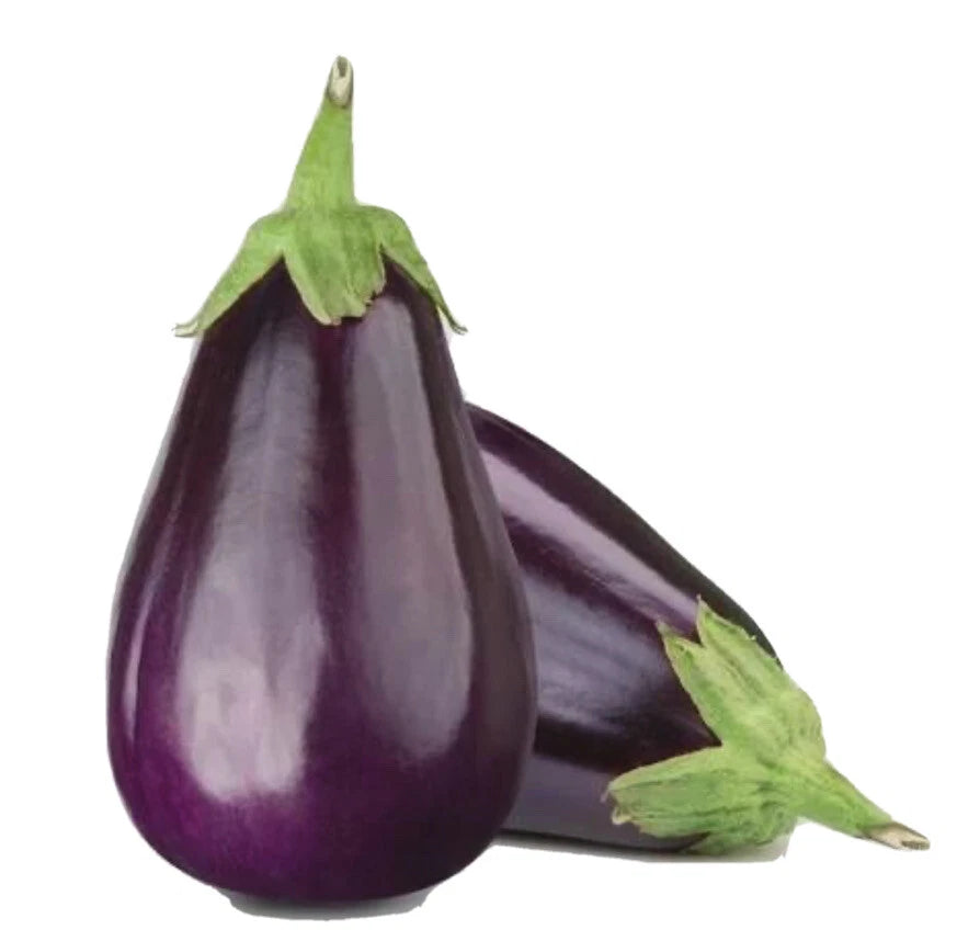 Black Beauty Eggplant Seeds - 200+ Non-GMO, Open Pollinated - Heirloom Vegetable Seeds (Solanum melongena)
