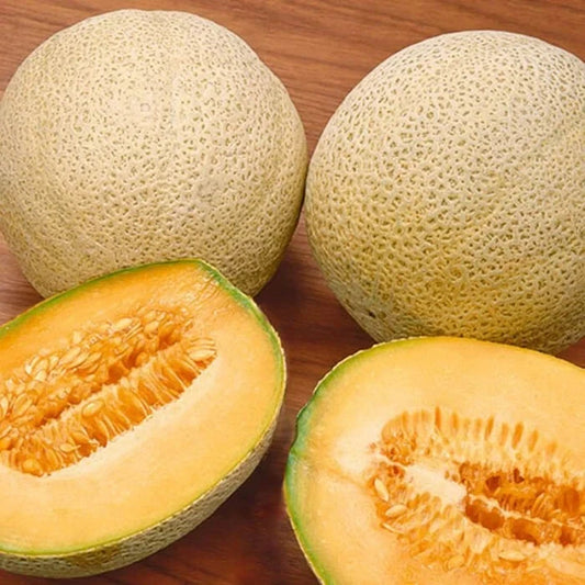 Cantaloupe Seeds - 100 Organic Jambo Variety - USA Grown, Free Shipping