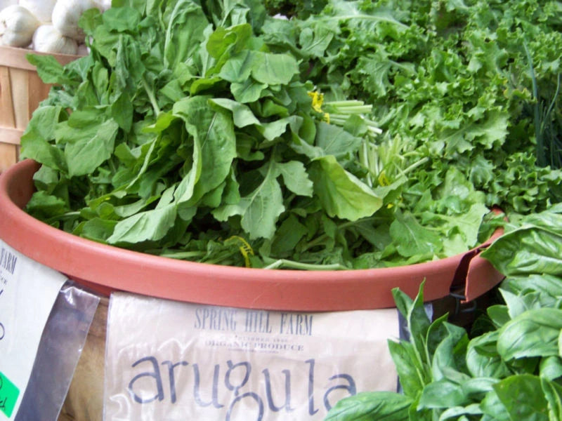 Arugula Seeds 700 Count - Roquette Salad Greens - Eruca sativa - Buy Any 15 Items, Ships Free