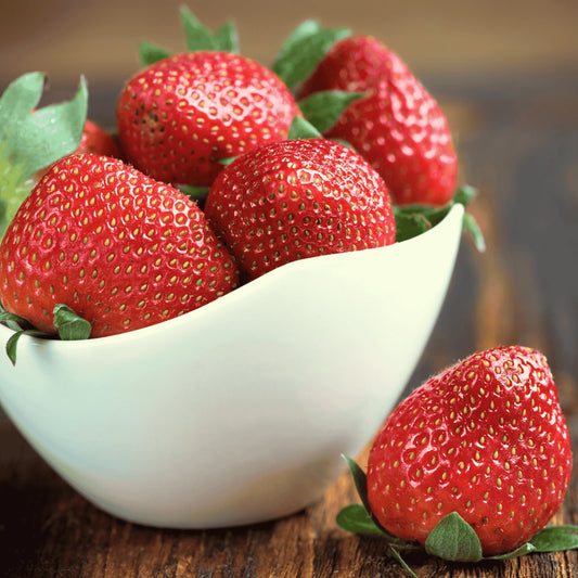 Cabot Strawberry Roots – Extra-Large Bare Root Plants | Sweet June-Bearing | Fragaria × ananassa