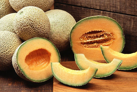 Cantaloupe Seeds - Hales Best Jumbo Variety - Fresh Non-GMO Seeds for Gardening - Cucumis melo