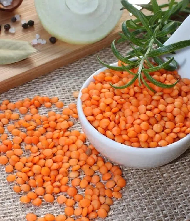 50 Red Lentil Seeds - Organic Non-GMO - Lens culinaris - Home Garden Planting