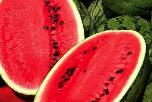 Allsweet Watermelon Seeds - Fresh Heirloom Seed Pack - Citrullus lanatus