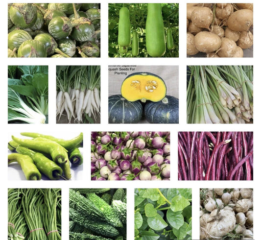 Asian Vegetable Seeds for Planting - 20 Pack Variety Pack - Non-GMO Garden Seeds