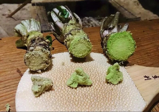 Japanese Wasabi Root Seeds - 5 Pack for Planting - Wasabia japonica - Organic, Heirloom, Culinary Herb