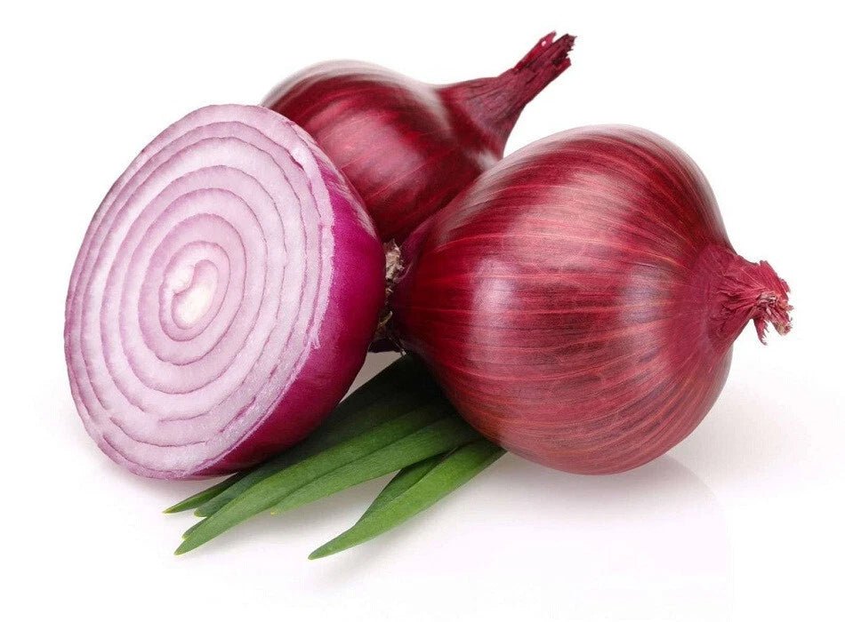 Bermuda Onion Seeds - 500+ Count - Heirloom Variety for Garden Planting - Allium cepa - USA Grown