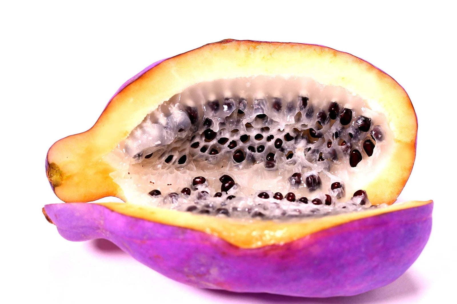 Chocolate Vine Seeds - 15 Pack - Exotic Five Leaf Vine - Akebia quinata for Planting