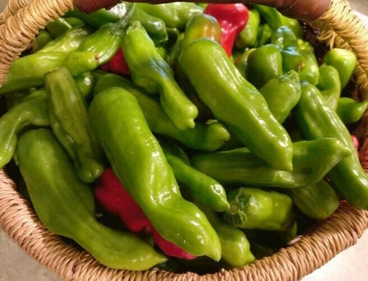 Italian Pepperoncini Seeds - 25 Fresh Premium Seeds (Capsicum annuum) - Quality Harvested Pepper Variety for Home Garden