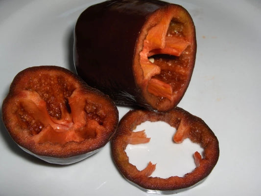 Chocolate Beauty Sweet Pepper Seeds - 20 Count Packet - Sweetest Pepper - Capsicum annuum