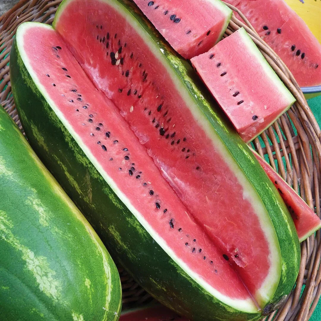 Jubilee Watermelon Seeds - 50+ Pack for Garden Planting - Citrullus lanatus - USA Grown, Non-GMO