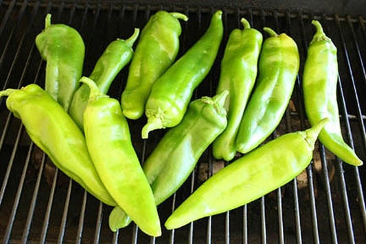 Anaheim Chili Pepper Plants - Meaty Chilies for Stuffed Peppers - Capsicum annuum