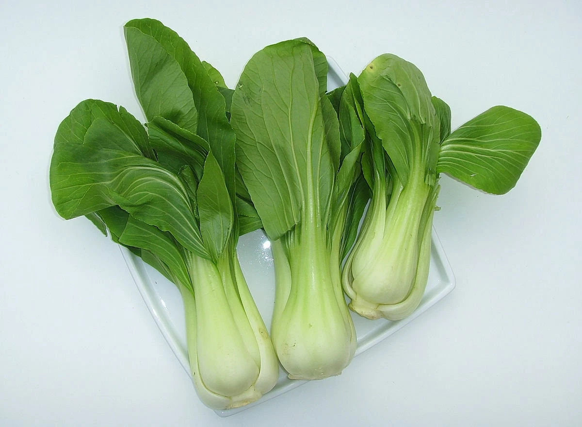 Canton Pak Choi Seeds - Non-GMO Chinese Cabbage Seeds - Brassica rapa - With Tracking
