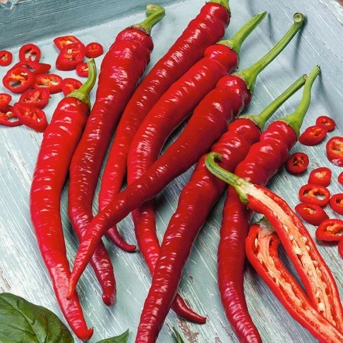 Cayenne Hot Pepper Seeds - 100+ Organic Heirloom NON-GMO - Spicy Long Slim Variety