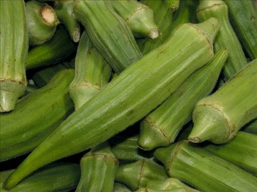 Jade Okra Seeds - Fresh Okra Seed Variety - Abelmoschus esculentus - Non-GMO, Heirloom Gardening Seeds, FREE Shipping
