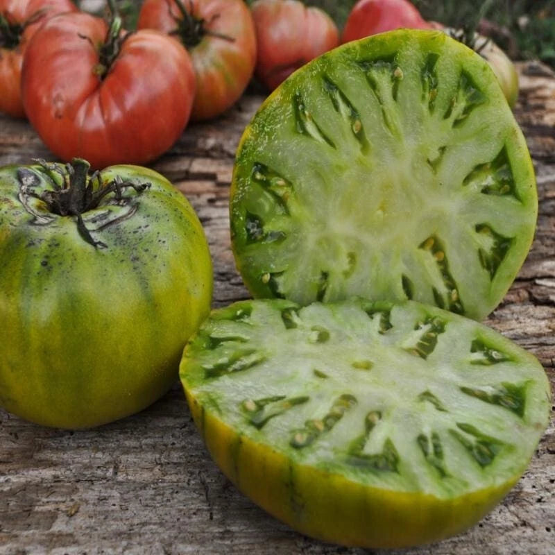 Cherokee Green Tomato Seeds - 120+ Heirloom Organic Non-GMO - Rare Variety - Solanum lycopersicum