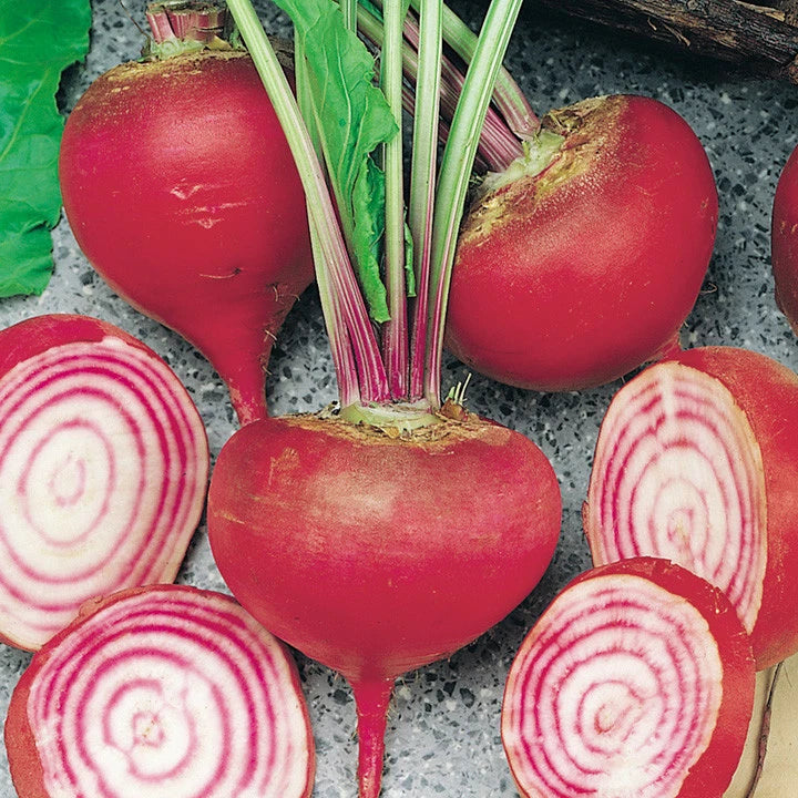 Chioggia Beet Seeds, NON-GMO, Candy Stripe, Bassano, Bulls Eye Beet - Beta vulgaris