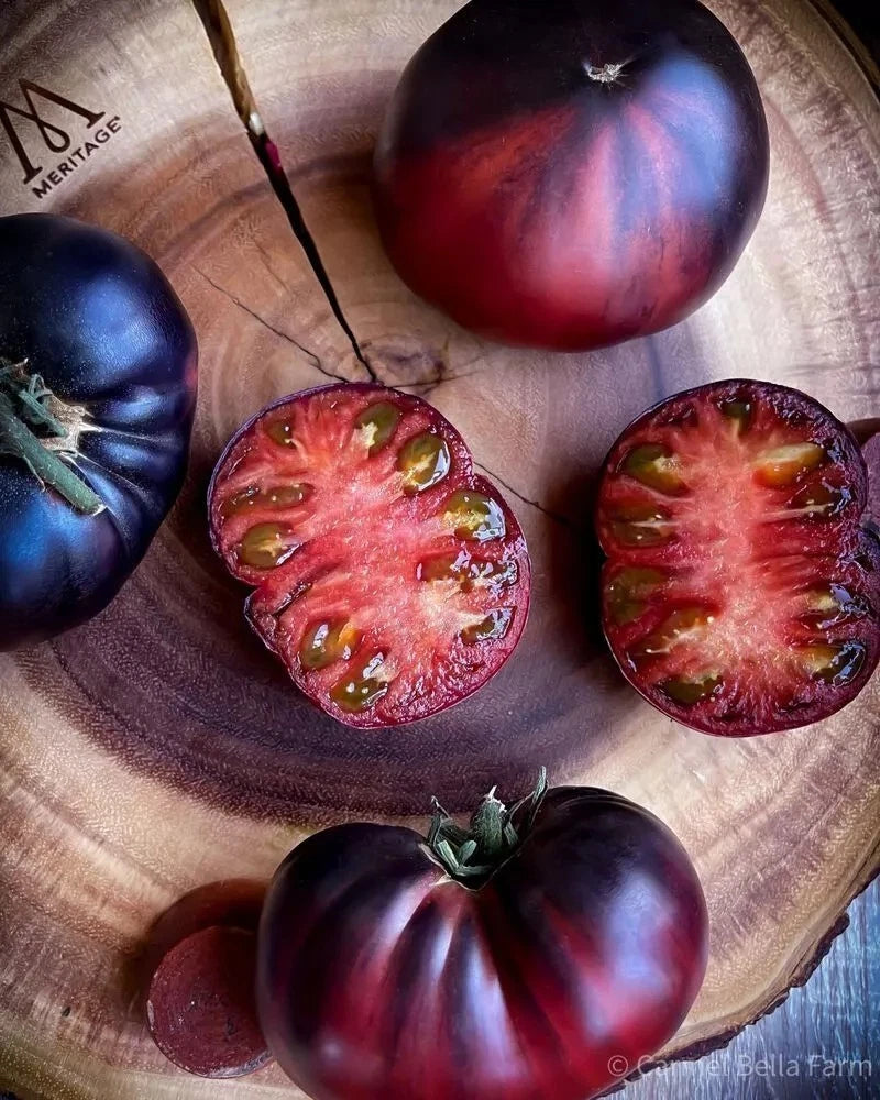 Black Beauty Tomato Seeds - Organic Heirloom - 120+ Seeds - Rare Variety - Solanum lycopersicum