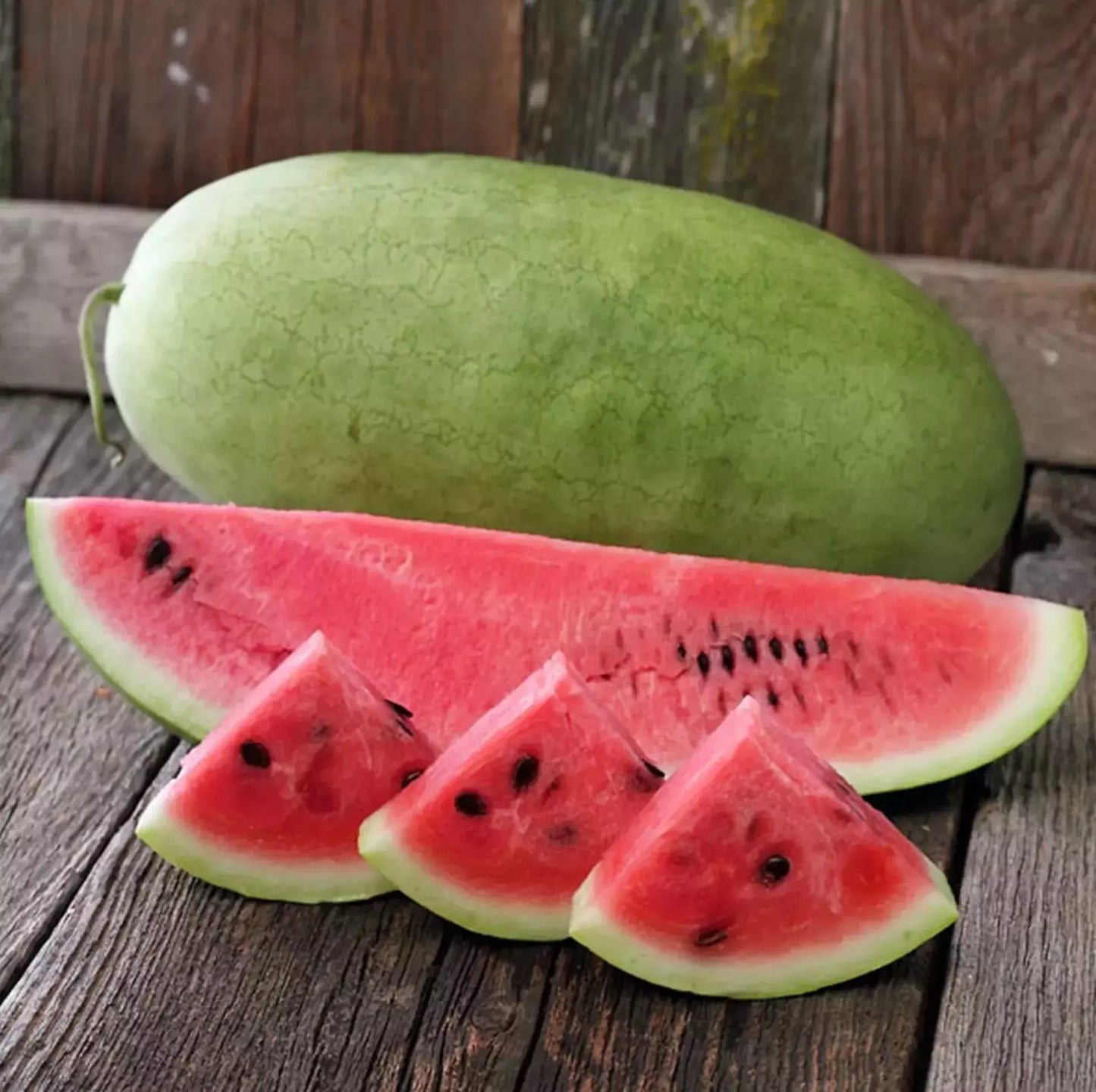 Charleston Grey Watermelon Seeds - 10+ Heirloom Organic Non-GMO - Giant Variety
