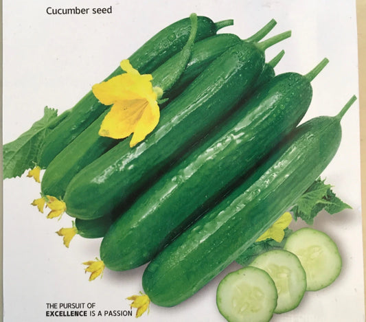 Chinese Fruit Cucumber Seeds - Burpless Hybrid Mini Cucumber (Cucumis sativus) - 15+ Seeds USA