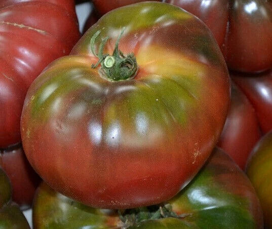 Black Krim Tomato Seeds 50+ Indeterminate Garden Vegetables Solanum lycopersicum Free Shipping