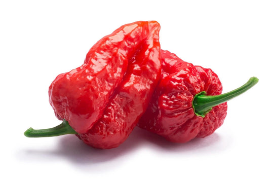 Ghost Pepper Seeds - 20+ Seeds - Bhut Jolokia - Plant Hottest Peppers for Amazing Flavor