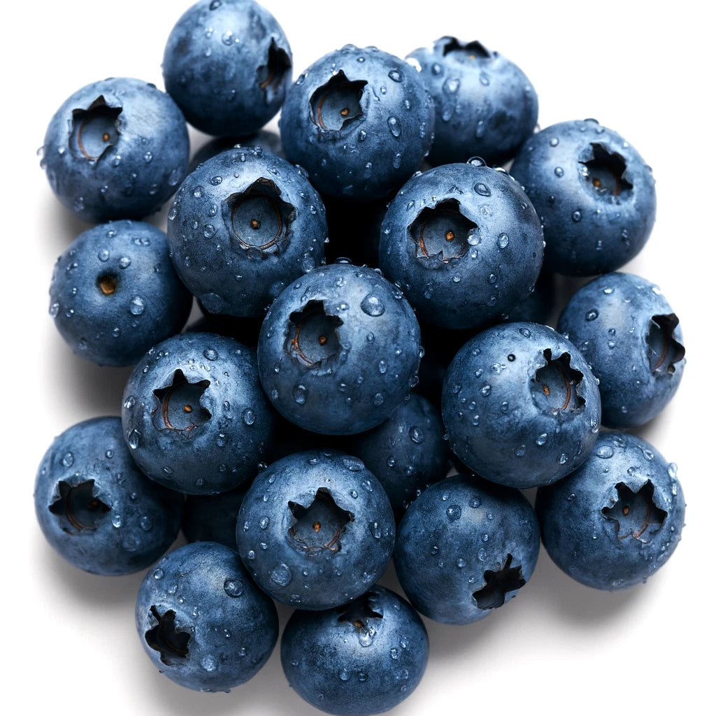 European Blueberry Seeds - 400+ Bilberry Autumn Low Bush - Vaccinium myrtillus - Rare Sweet Variety, Free Shipping