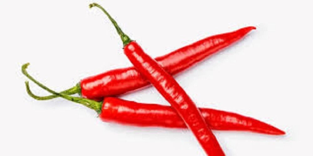 Cayenne Hot Pepper Seeds - Premium Long Red, 40,000 Scoville Units - Capsicum annuum