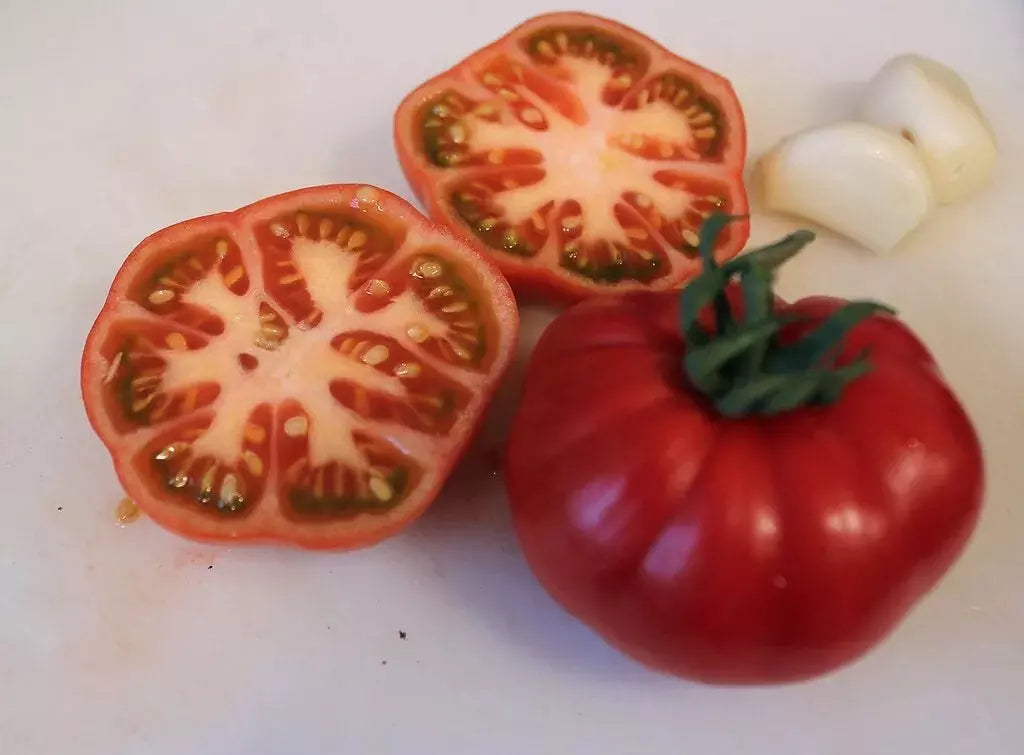 Sub Arctic Plenty Tomato Seeds - 10+ Heirloom Organic Seeds - Fast Growing Variety - Solanum lycopersicum