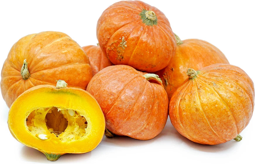 Gold Nugget Squash Seeds | Fresh Organic Seeds for Planting | Cucurbita pepo
