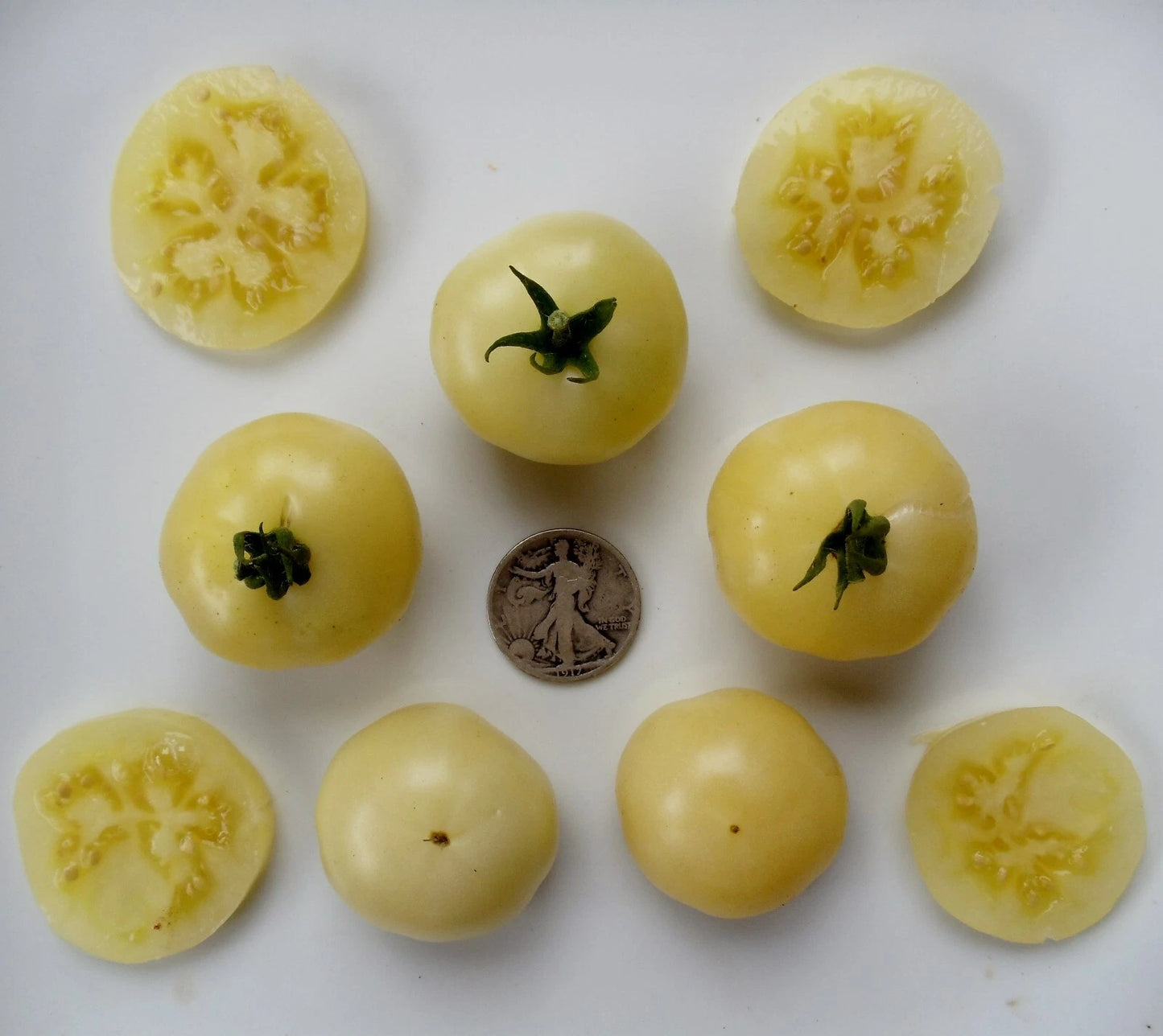 Super Snow White Seeds - Non-Acidic, Very Sweet - 25 Seeds - Perfect for Home Garden (Variety: Super Snow White)