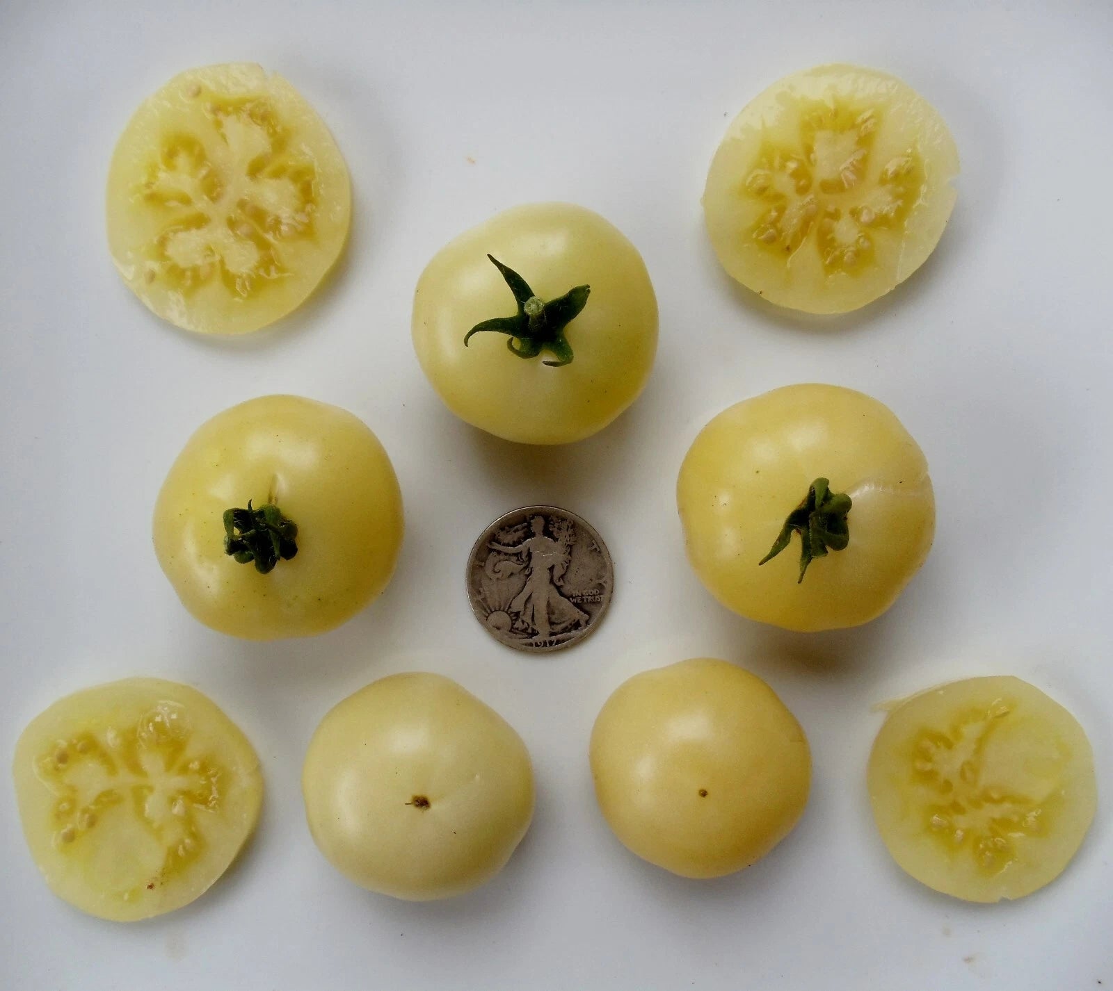Super Snow White Seeds - Non-Acidic, Very Sweet - 25 Seeds - Perfect for Home Garden (Variety: Super Snow White)