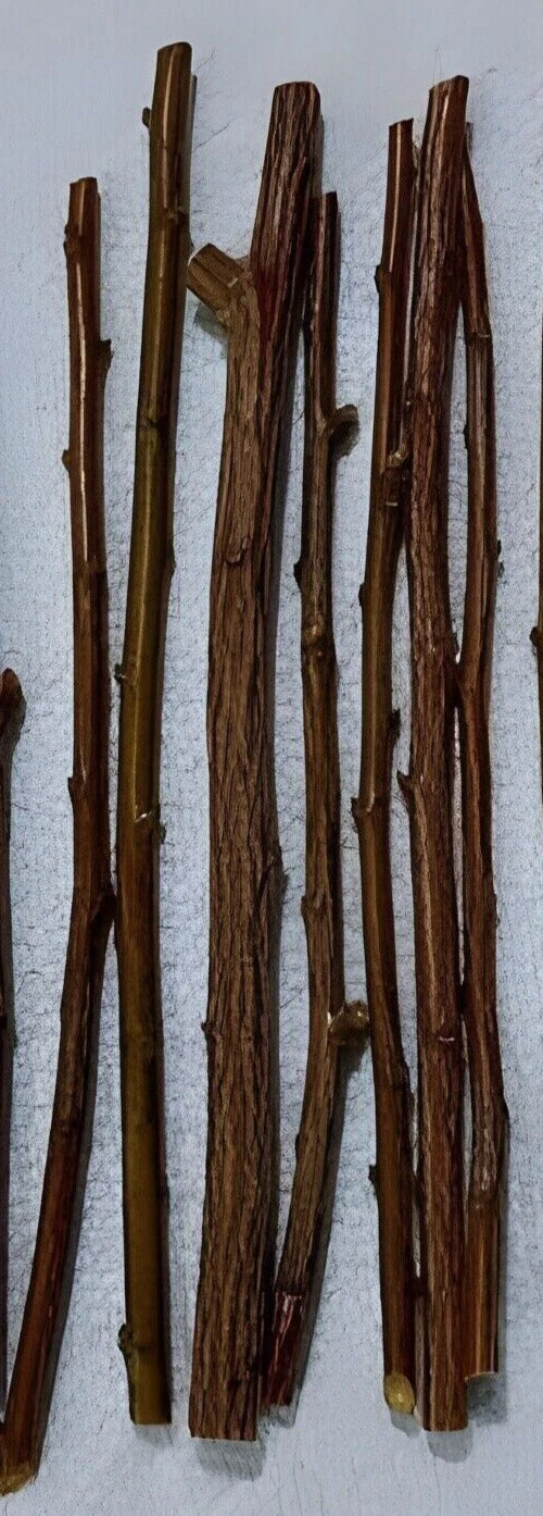 6 Organic Plum Tree Cuttings | Unrooted Prunus domestica or salicina | Sweet Fruit Tree Starts, Grafting Wood, Easy to Propagate