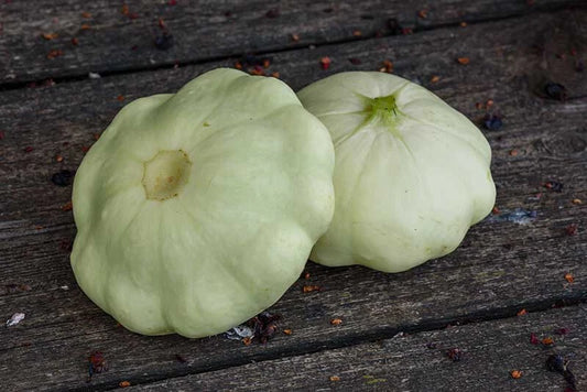 25+ Benning’s Green Tint Scallop Squash Seeds - Vegetable Seeds - Heirloom Variety - Cucurbita pepo - USA