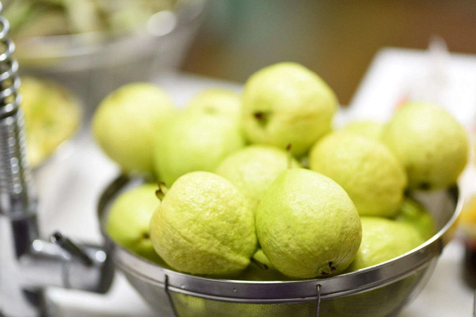 Lemon Guava Seeds - 20+ Seeds - Psidium guajava - Tropical Fruit Plant