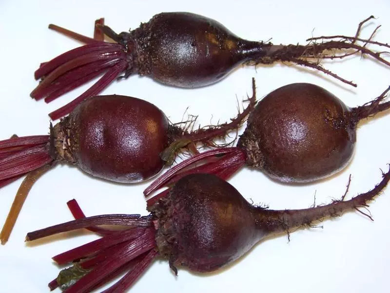 Beet Seeds - 163 Count - Detroit Dark Red - Beta vulgaris - GroCo USA - Buy 15 Ships Free