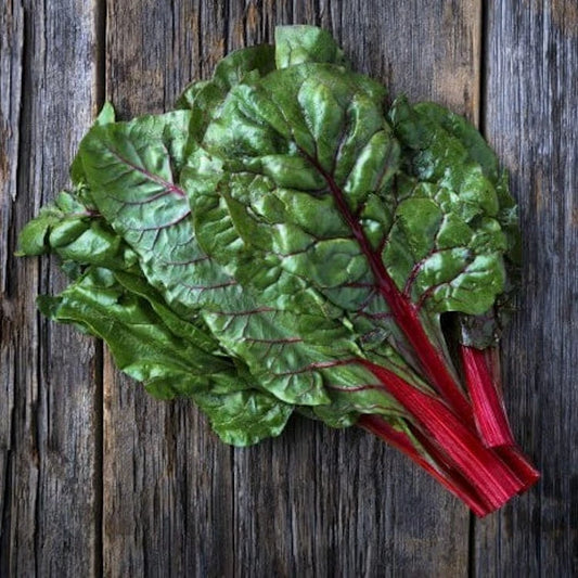 500 Ruby Red Swiss Chard Seeds | NON-GMO Heirloom | Beta vulgaris | Fresh USA Seller
