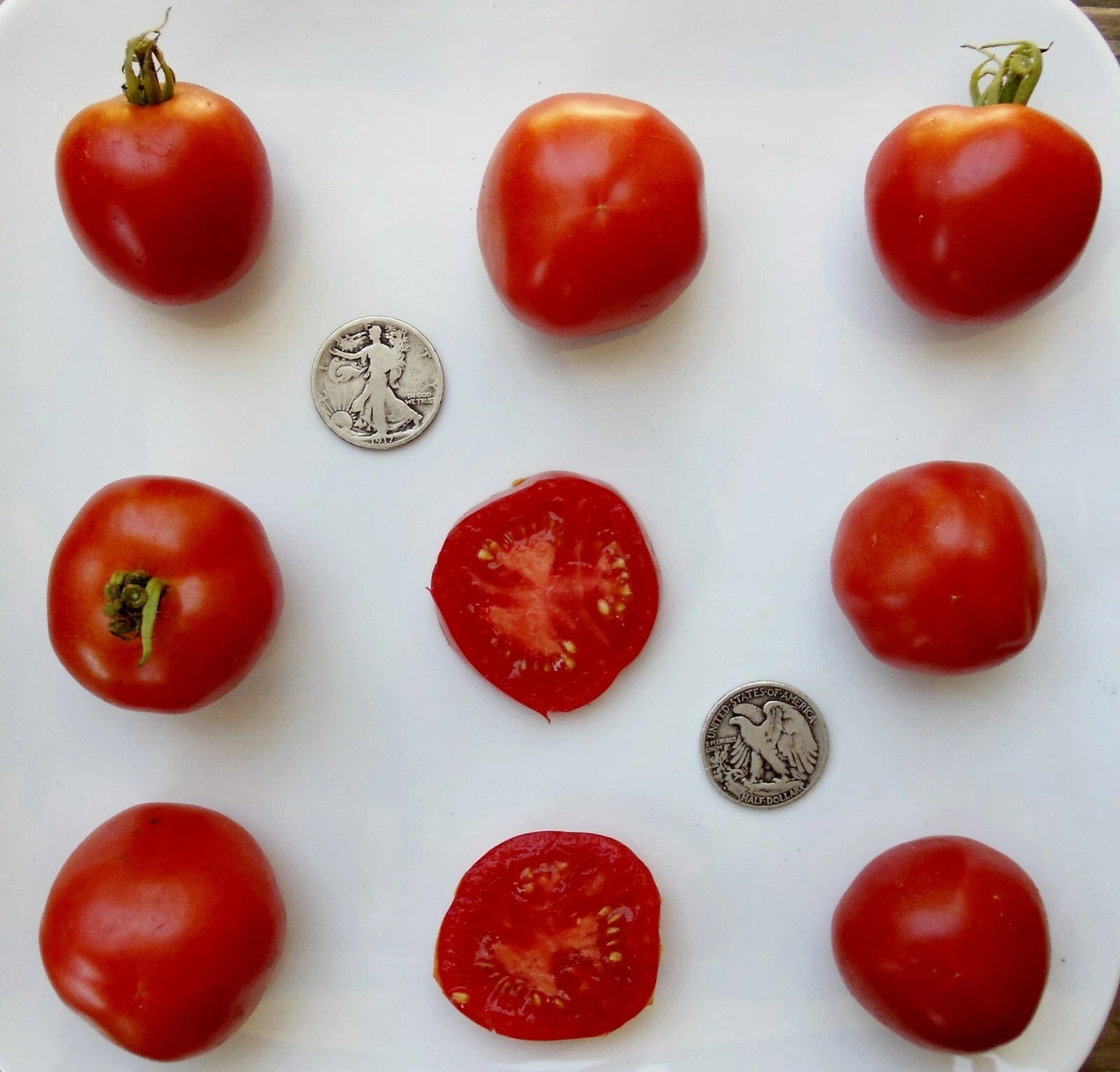 Stupice Tomato Seeds - Very Early Variety - 25 Fresh Seeds - Solanum lycopersicum