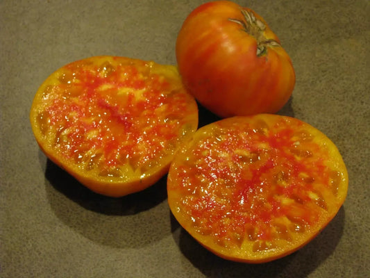 Hillbilly Tomato Seeds - Organic Heirloom - Non-GMO - 30+ Fresh Rare Seeds - Solanum lycopersicum