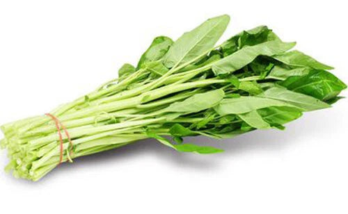 50+ White Stem Water Spinach Seeds, Ong Choy, Kong Xin Cai, Heavy Producer, Fresh USA
