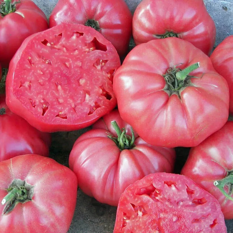 Pink Brandywine Tomato Seeds 50 Ct Non-GMO Beefsteak Vegetable Seeds Indeterminate Variety