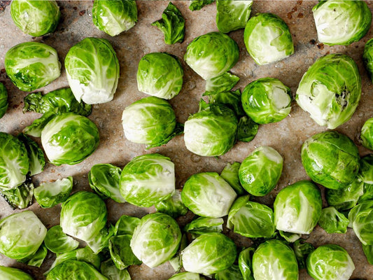 Brussels Sprouts Seeds 500 Count Health Plus GL Brassica oleracea var. gemmifera