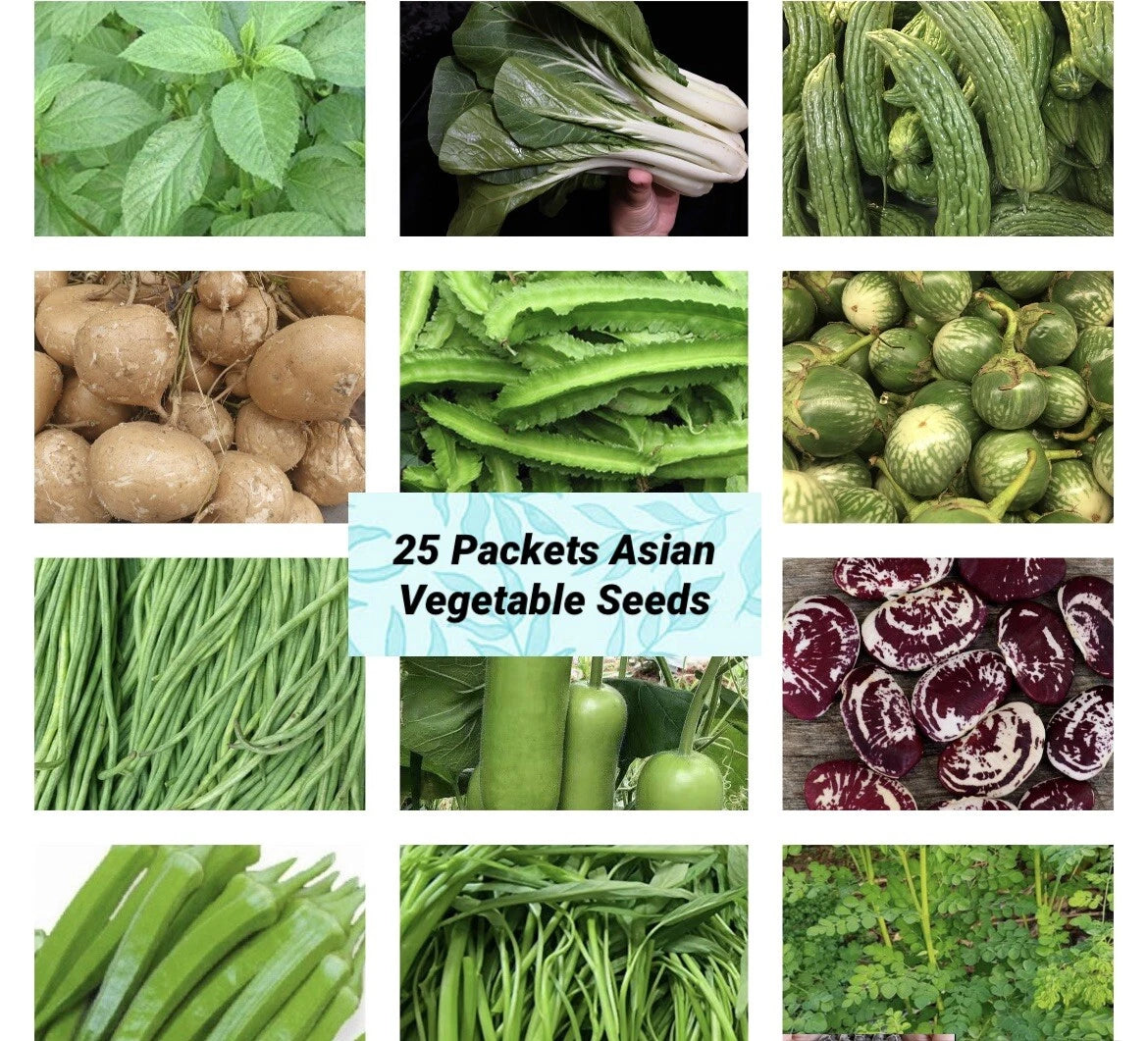 Asian Vegetable Seeds Set of 25 - Starter Bundle for Garden - Heirloom and Hybrid Varieties - Perfect for Home Gardening